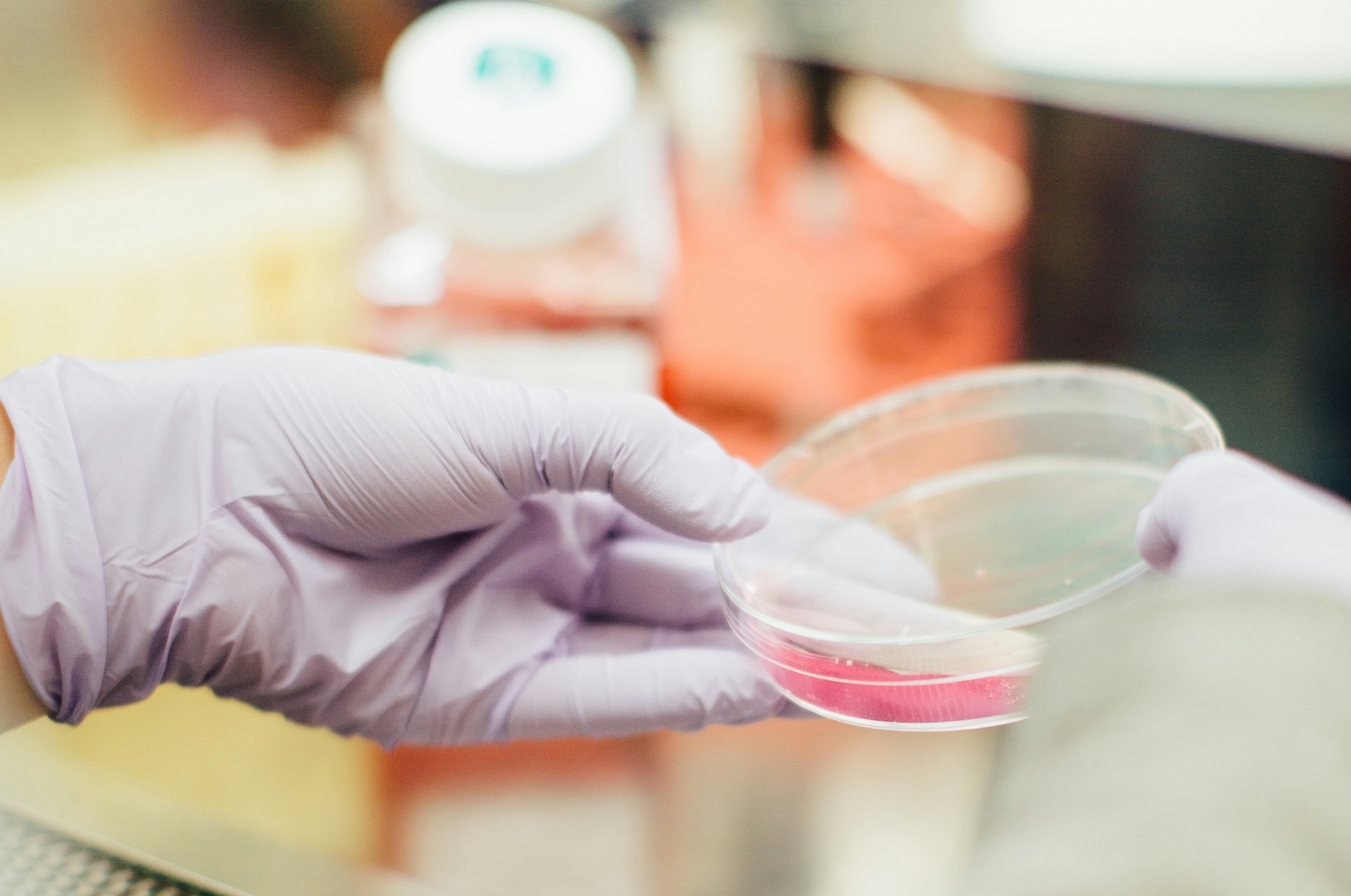 Dermatophilosis: Should We Worry About This Infection Observed in Gay Men?