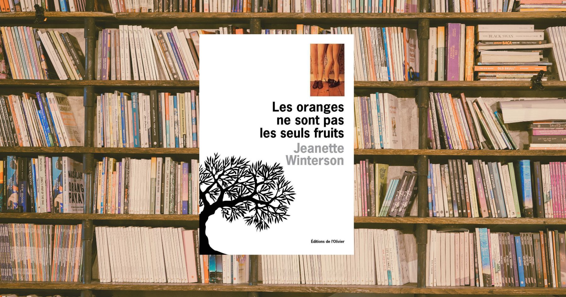 Why Reread The Oranges Are Not the Only Fruits